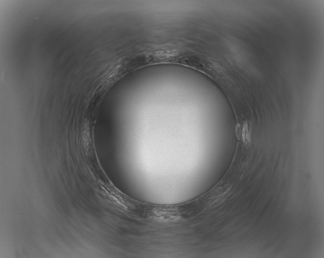 X0000051241299200507011615