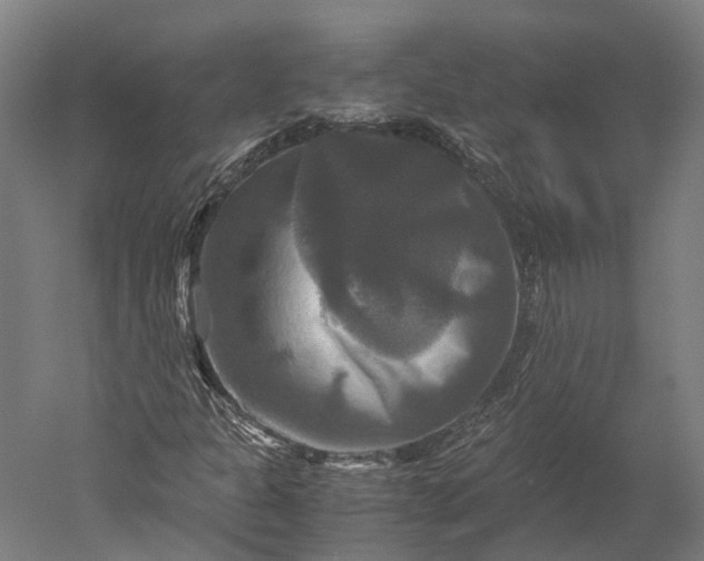 X0000051241301200507011615