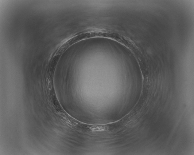 X0000051241303200507011615