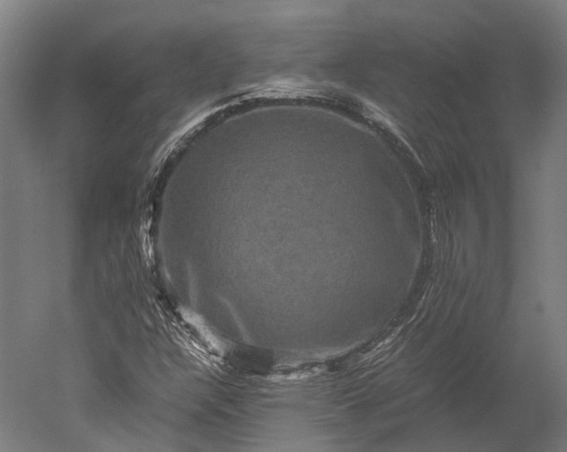 X0000051241304200507011615