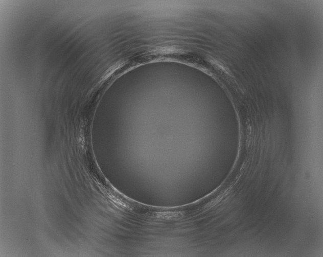 X0000051241305200507011615