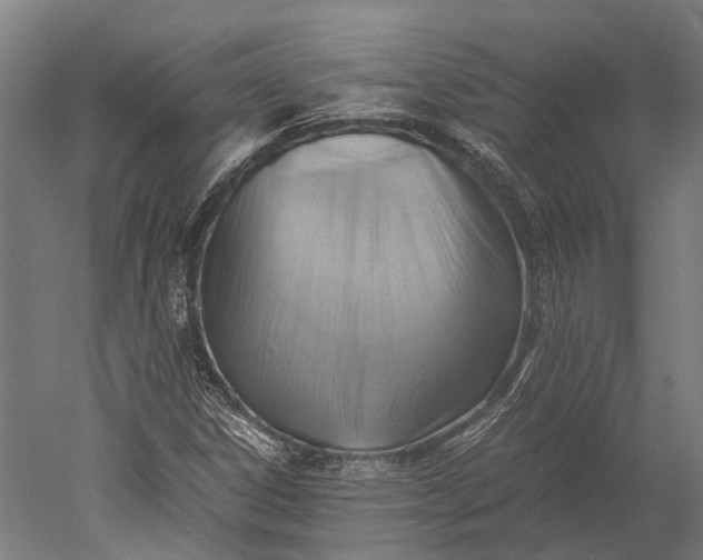 X0000051241306200507011615