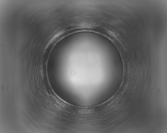 X0000051241307200507011615