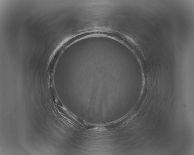 X0000051241310200507011615