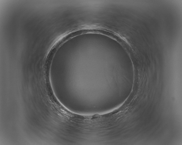 X0000051241311200507011615