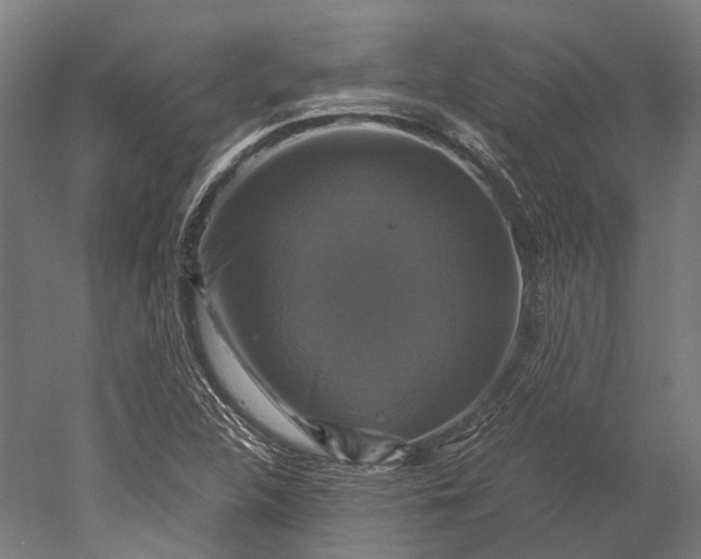 X0000051241312200507011615