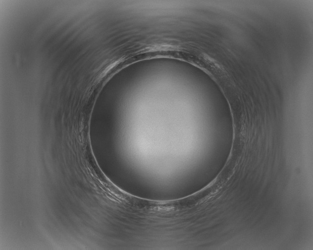 X0000051241313200507011615