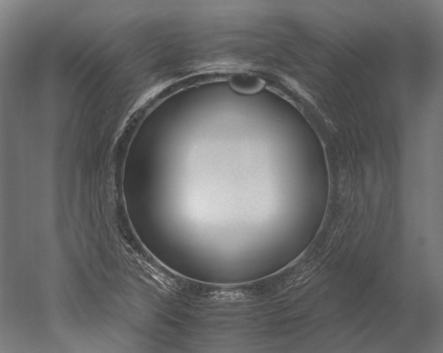 X0000051241315200507011615