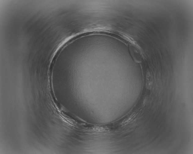 X0000051241316200507011615