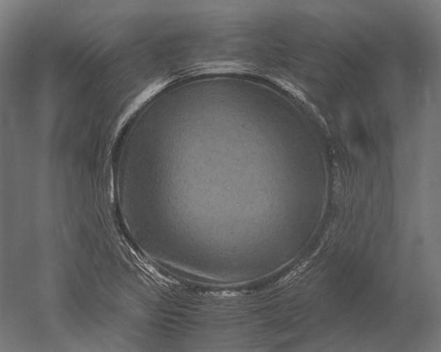 X0000051241317200507011616