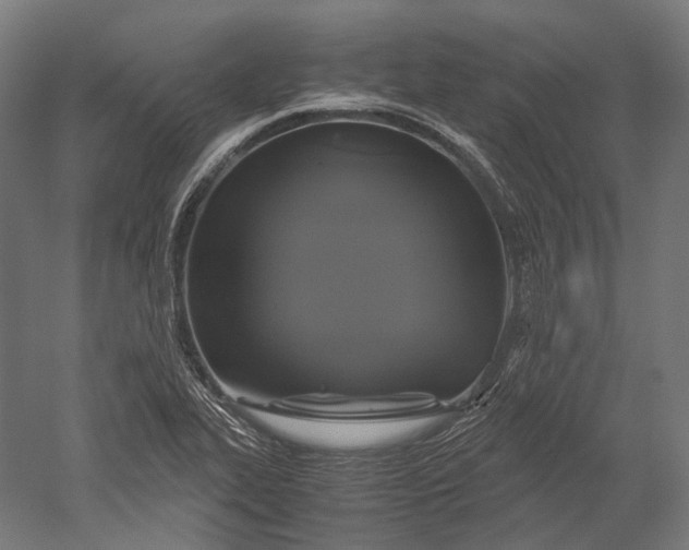 X0000051241319200507011616