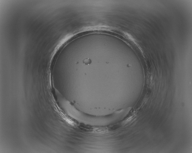 X0000051241320200507011616