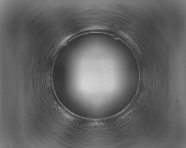 X0000051241321200507011616