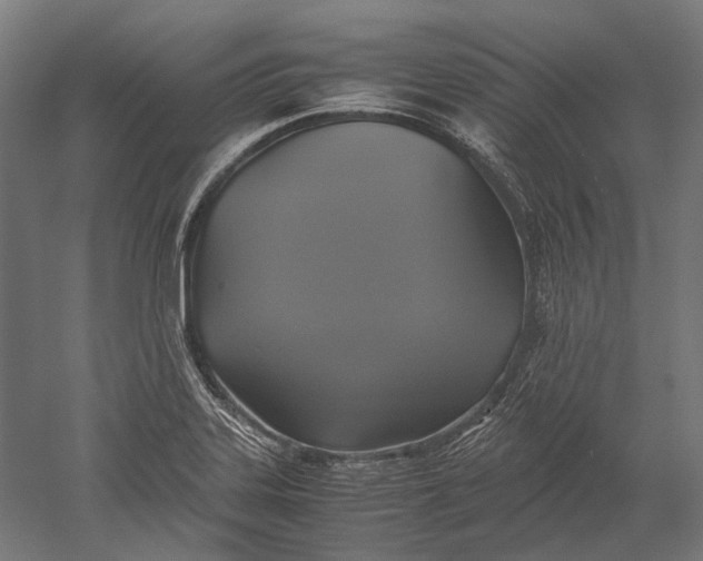 X0000051241323200507011616