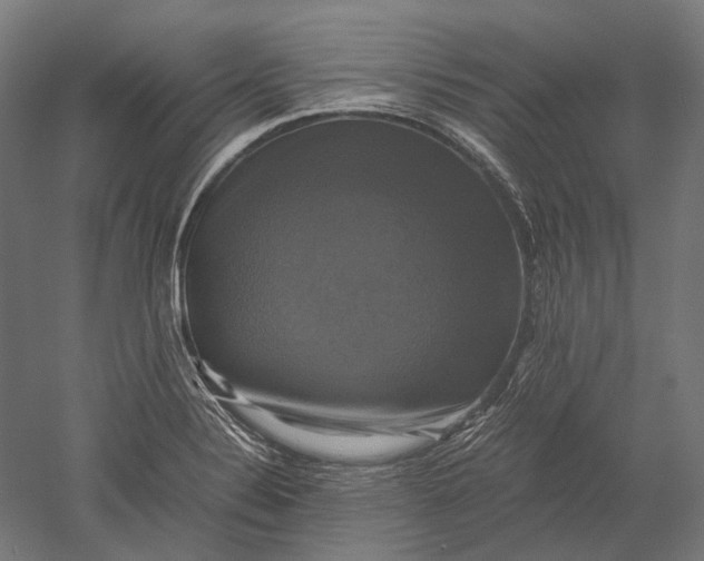 X0000051241324200507011616