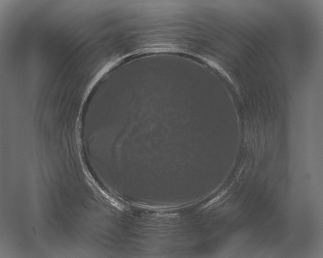 X0000051241325200507011616