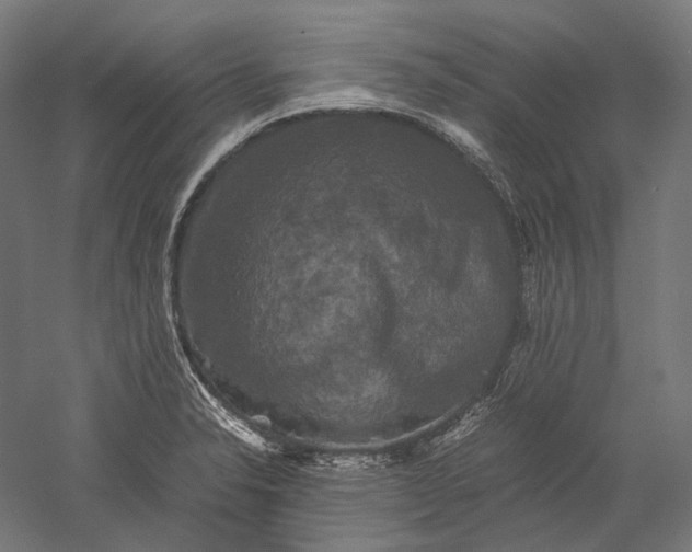 X0000051241326200507011616