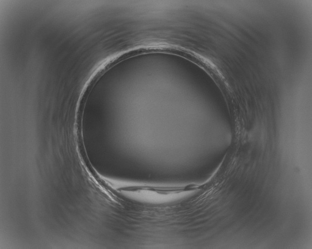 X0000051241327200507011616