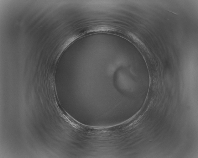 X0000051241329200507011616