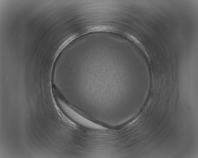 X0000051241330200507011616