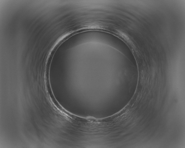 X0000051241331200507011616