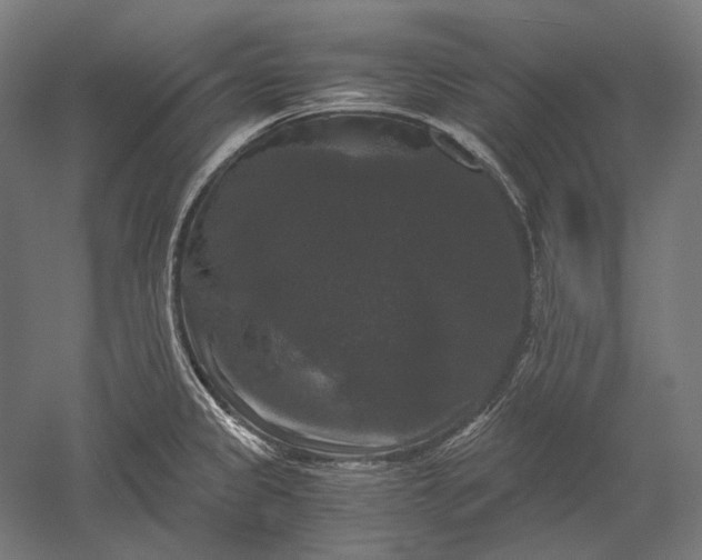 X0000051241333200507011616