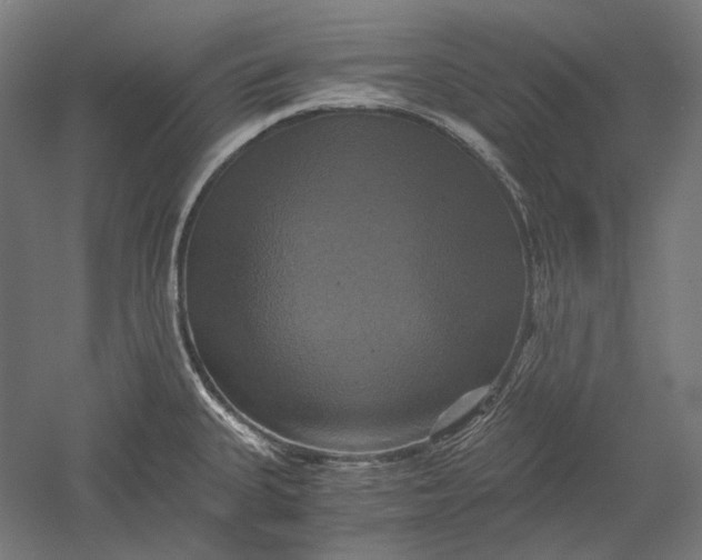 X0000051241335200507011616