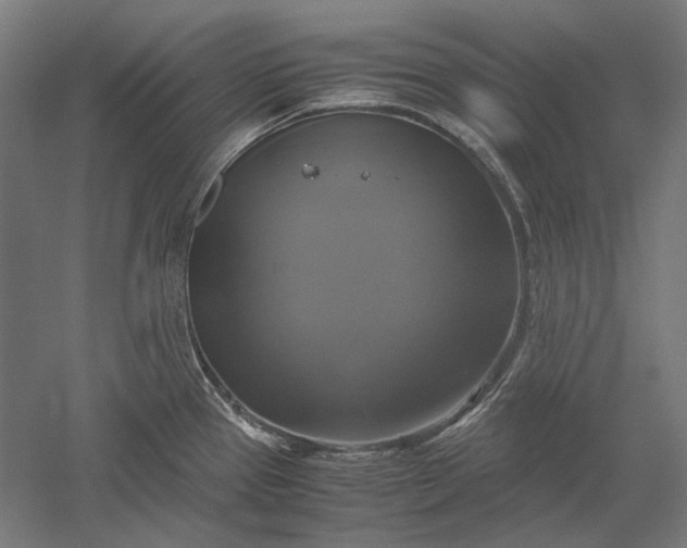 X0000051241337200507011616