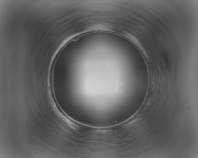 X0000051241339200507011616