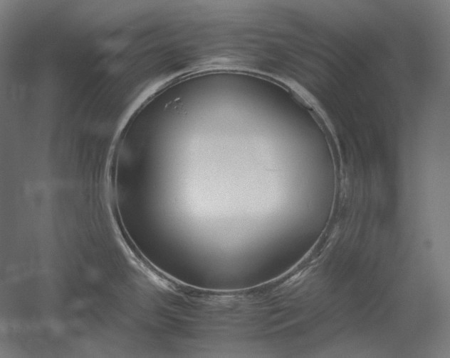 X0000051241341200507011616