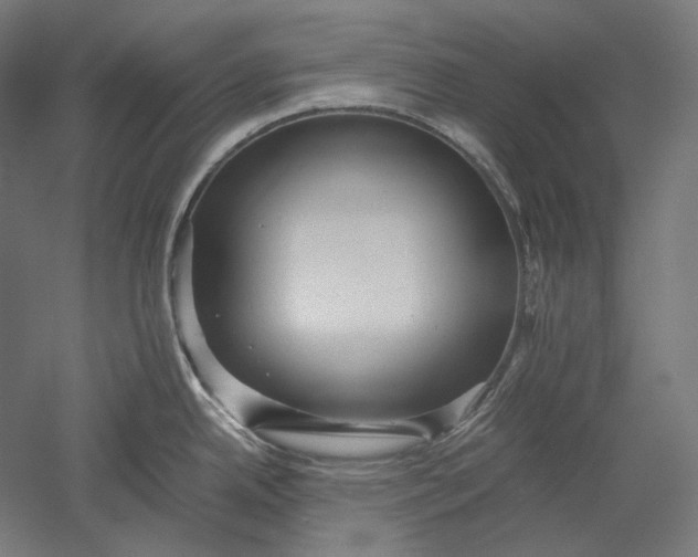 X0000051241342200507011616