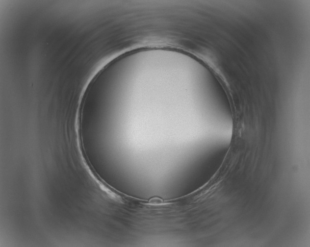 X0000051241343200507011616