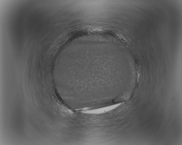 X0000051241345200507011615