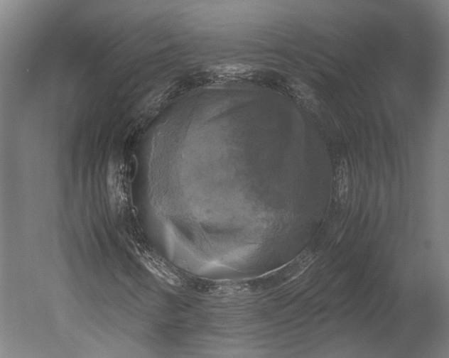 X0000051241346200507011615