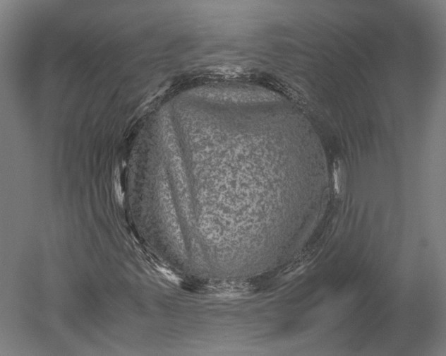 X0000051241347200507011615