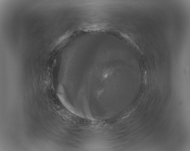 X0000051241350200507011615