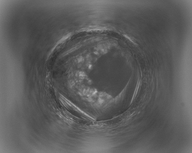 X0000051241351200507011615