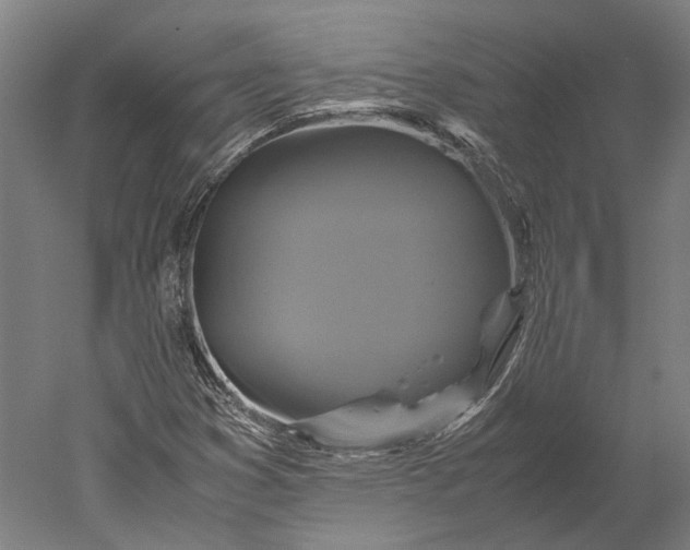 X0000051241353200507011615