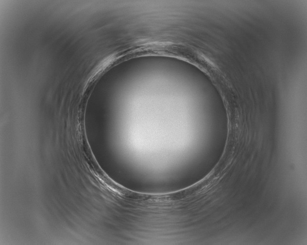 X0000051241354200507011615