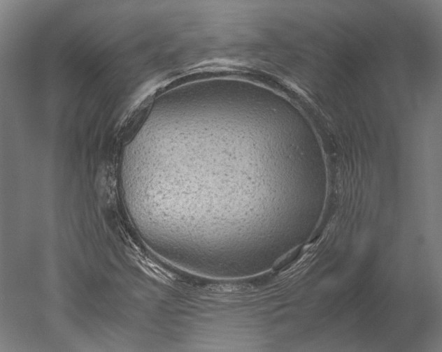 X0000051241355200507011615