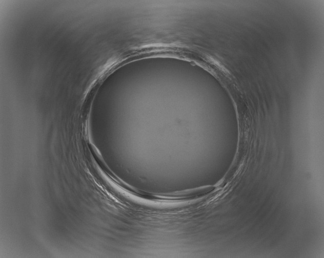 X0000051241357200507011615