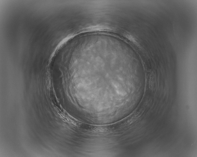 X0000051241358200507011615