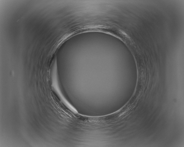 X0000051241361200507011615