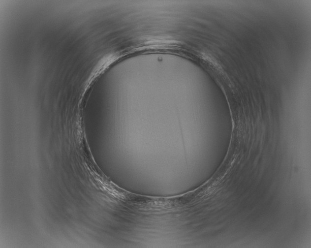 X0000051241362200507011615