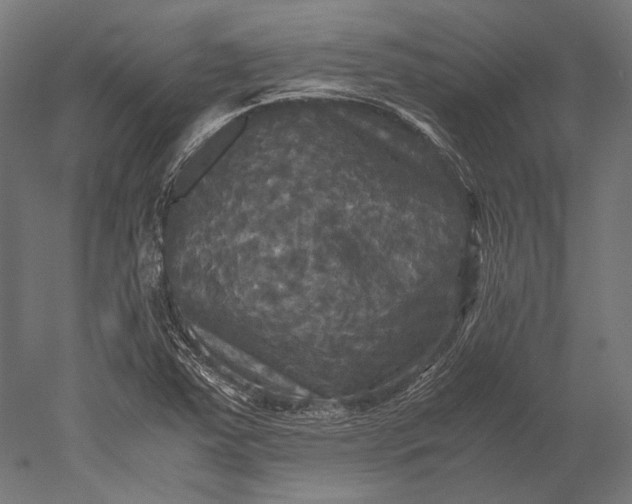 X0000051241363200507011615