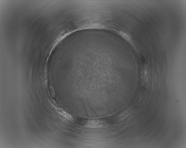 X0000051241364200507011615