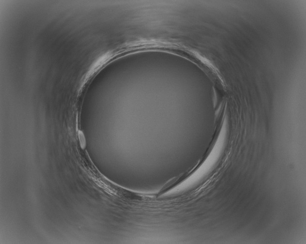 X0000051241365200507011615