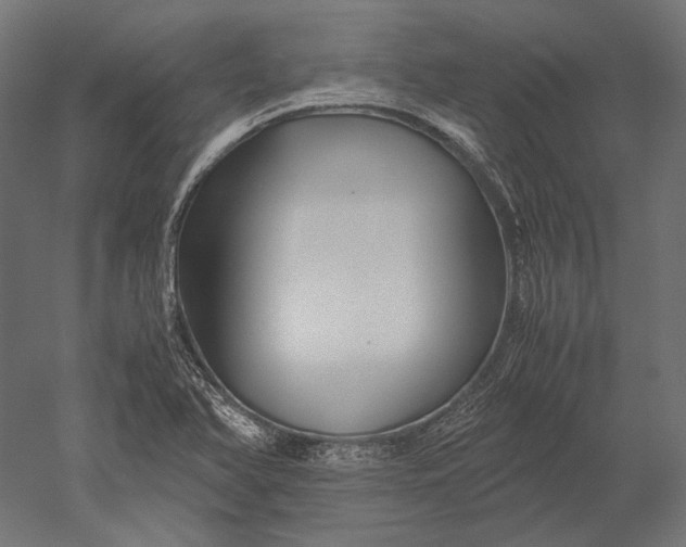 X0000051241366200507011615