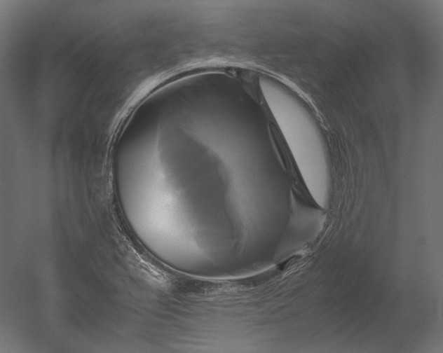 X0000051241367200507011615