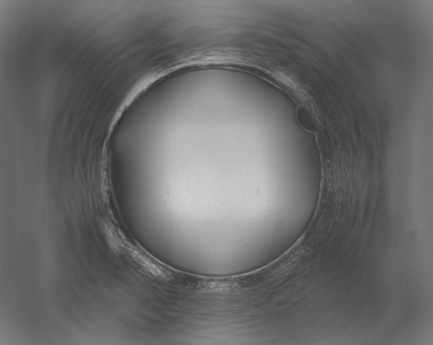 X0000051241374200507011615